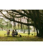 新品） peak FDベンチ RD レッド