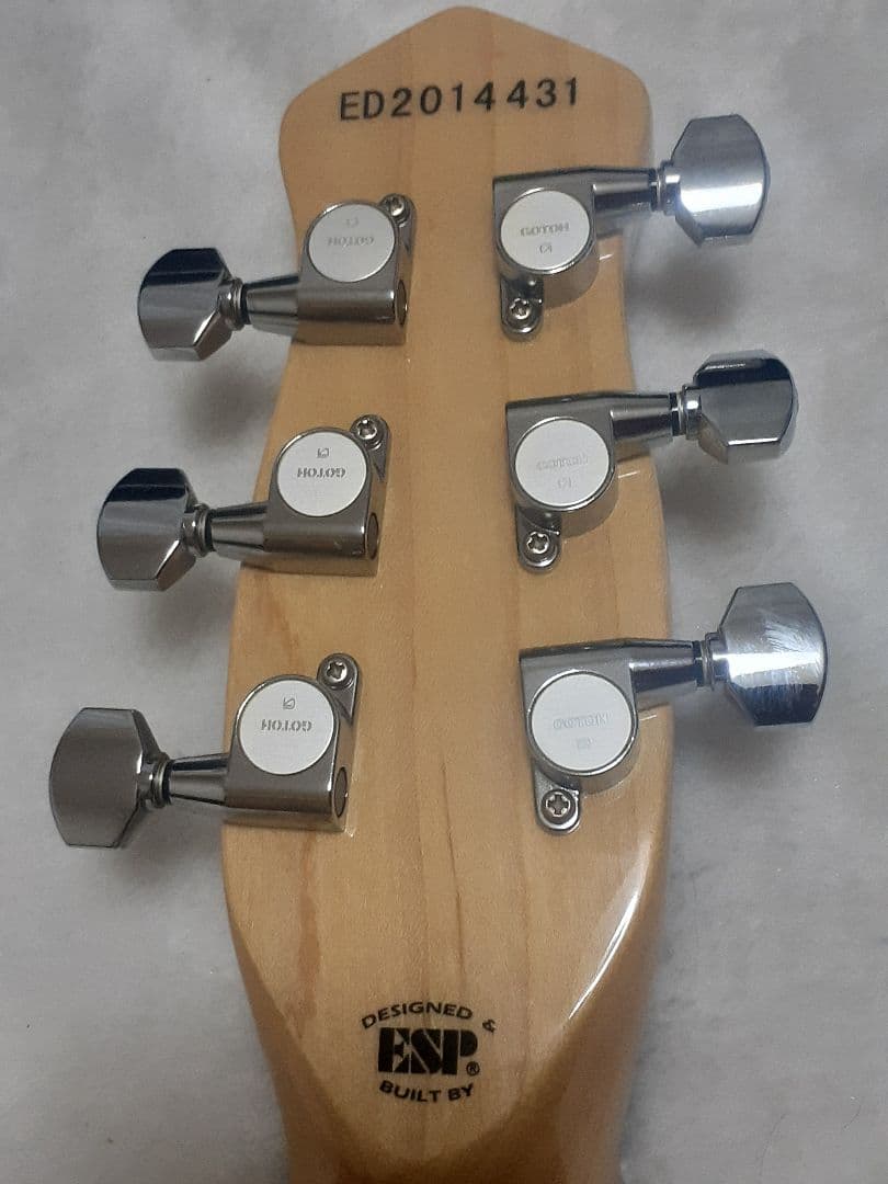 最終値下げ美品EDWARDS E-RS-145/M ランダムスター 高崎晃モデル