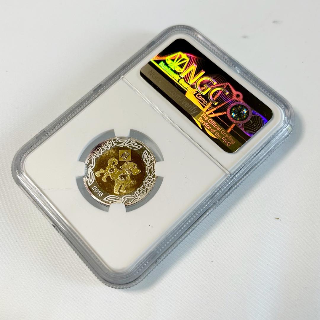 2018年　中国パンダ銀メダル　NGC　MS69　ULTRA　CAMEO 8ｇ