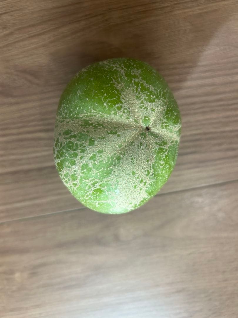 蝶々華 様　⭐︎和歌山産⭐︎ ホワイトサポテ 約1.5kg 訳あり　希少　柑橘類