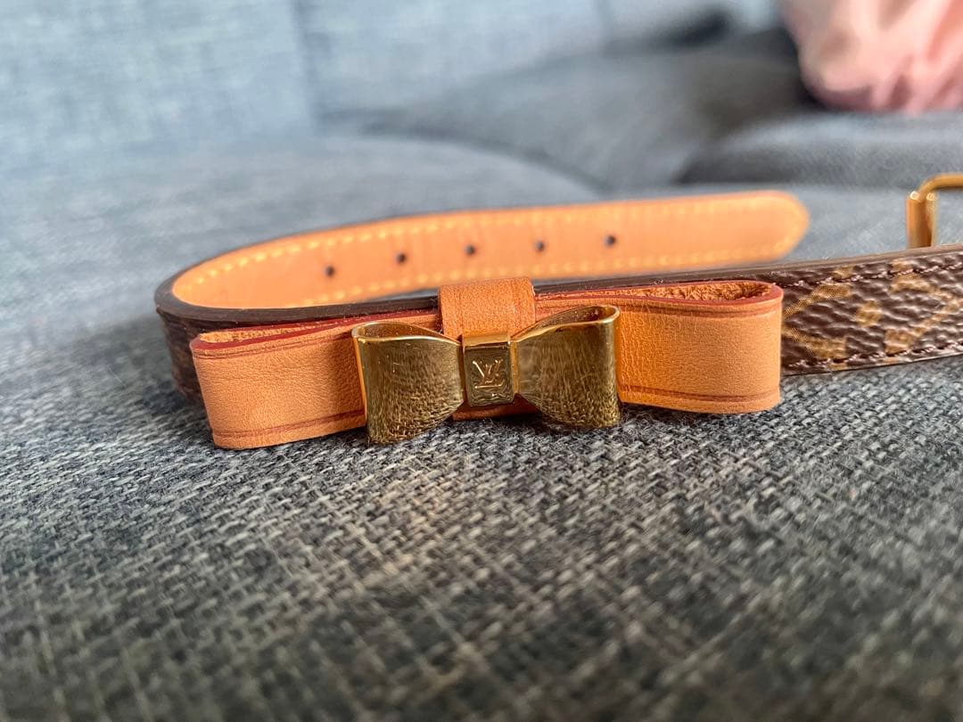 ヴィトン　首輪　XS 最終セール