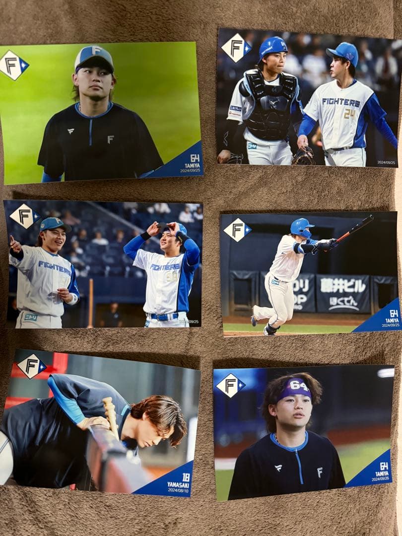 田宮裕涼 山崎福也 訳あり含む ハイライトフォト 80枚