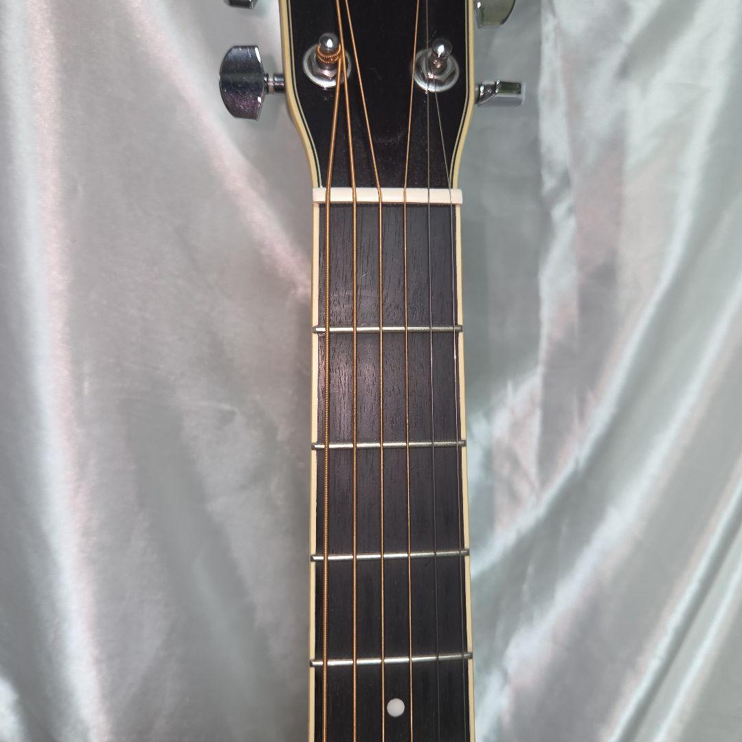 【送料無料】Morris F-022 TS アコースティックギター