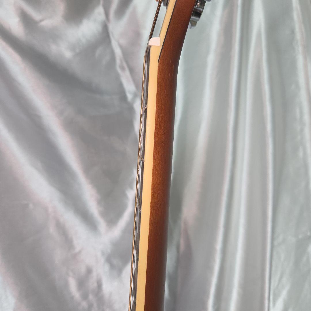 【送料無料】Morris F-022 TS アコースティックギター