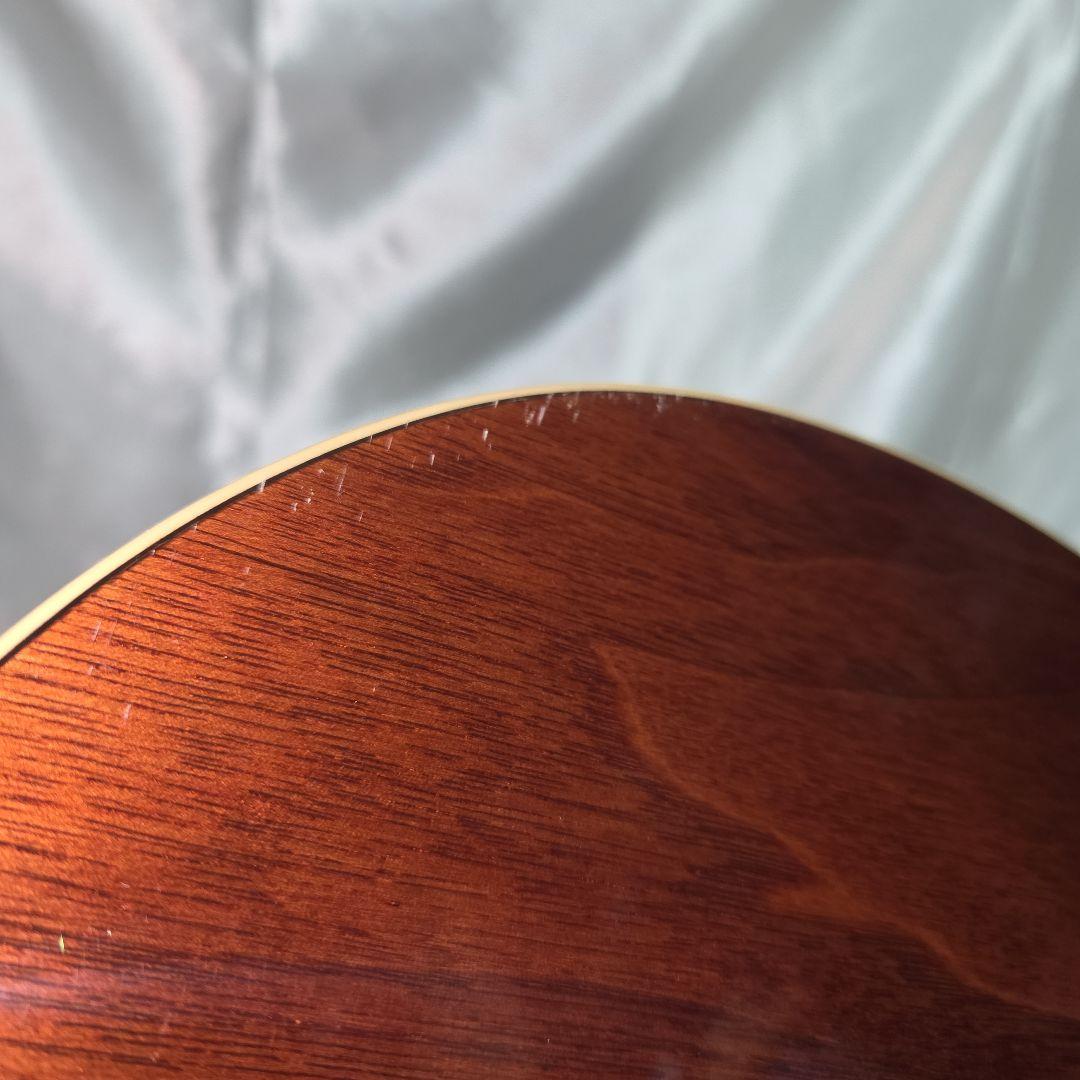 【送料無料】Morris F-022 TS アコースティックギター