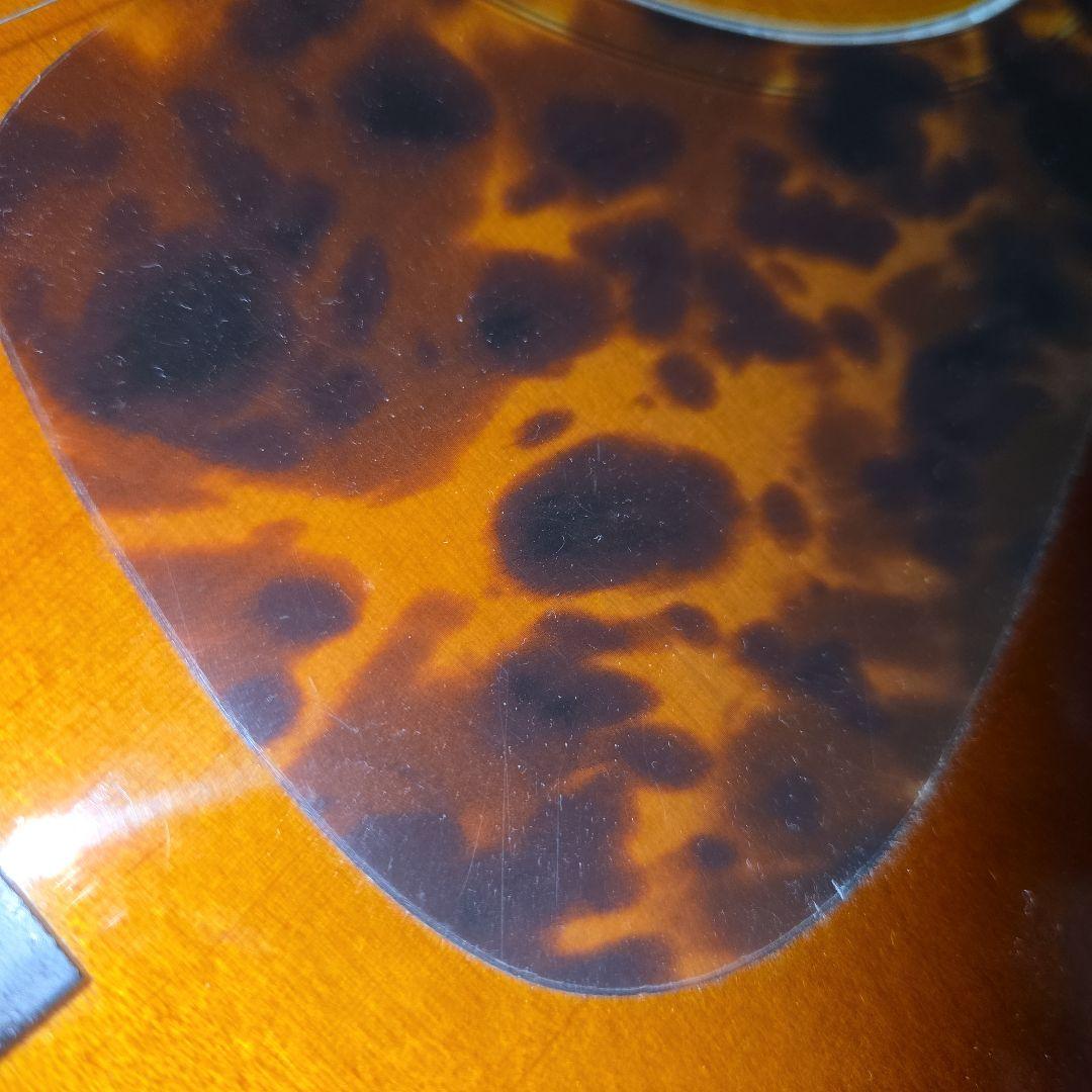 【送料無料】Morris F-022 TS アコースティックギター