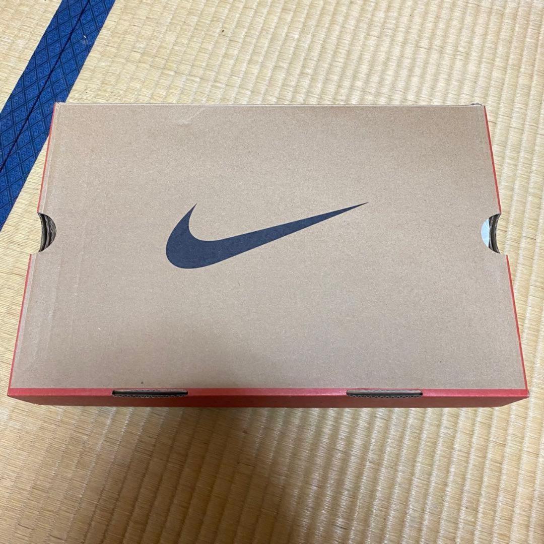 ケンドリックラマー着用 スーパーボウル Nike Air DT Max 96