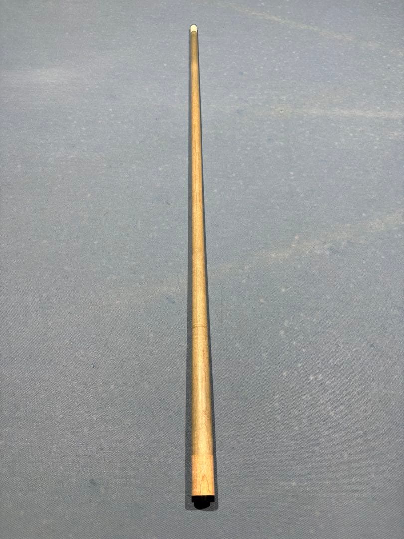 Geez focus1 ジーズシャフト　ラジアル