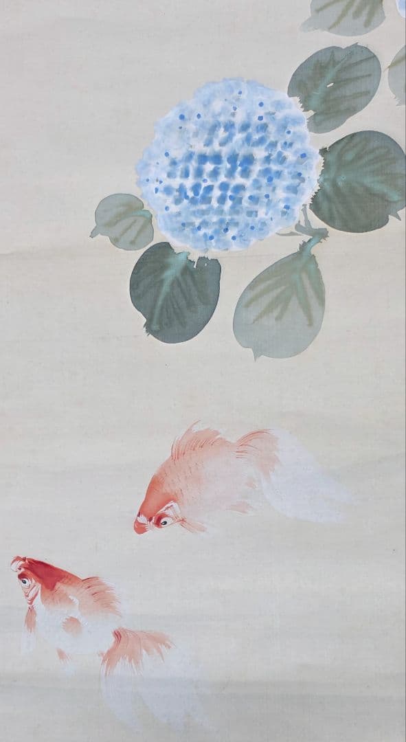【紫陽花に金魚】尾竹竹坡 2725 共箱 掛け軸 肉筆 アジサイ