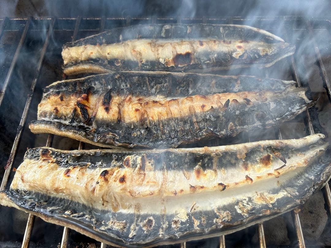 ［特大鰻］［国産うなぎ］［特大6尾］三河一色産　鰻　炭焼き