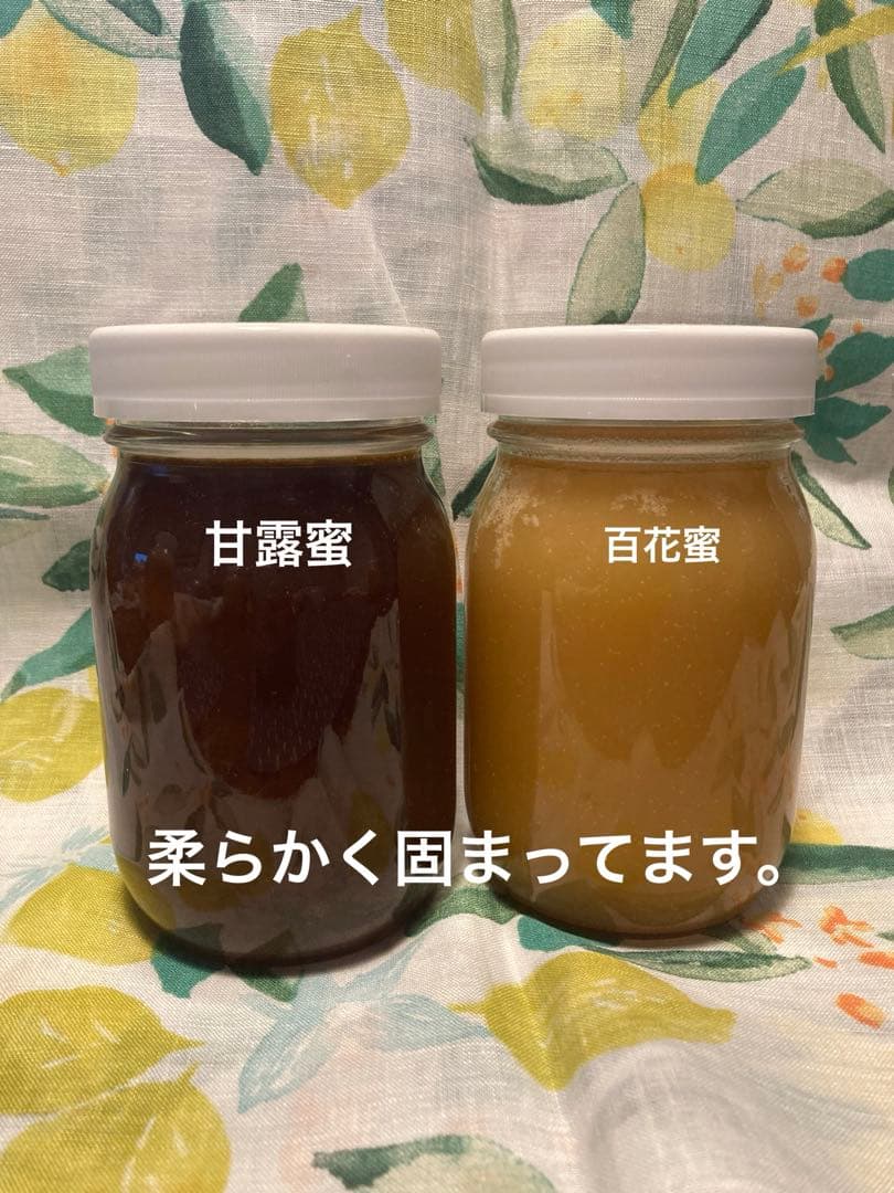 taluho　ニホンミツバチ　生ハチミツ　日本蜜蜂　1120g