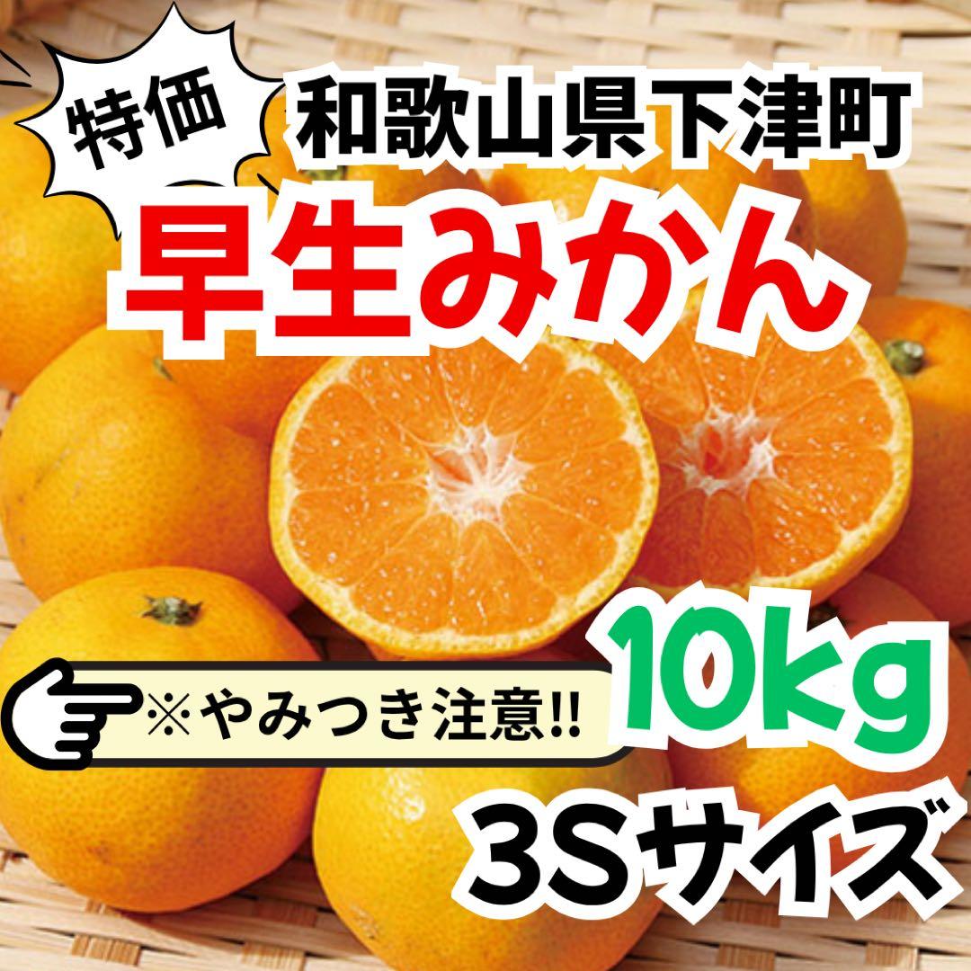 【専用】早生みかん　蔵出しみかん　20キロ