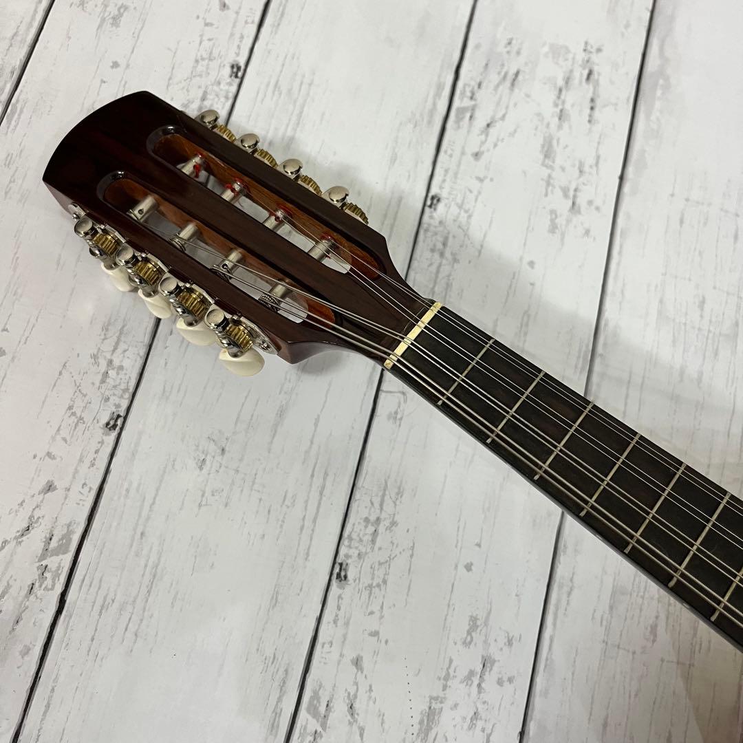 SUZUKI M-30 マンドリン 本体 ハードケース 弦 ピック付き！