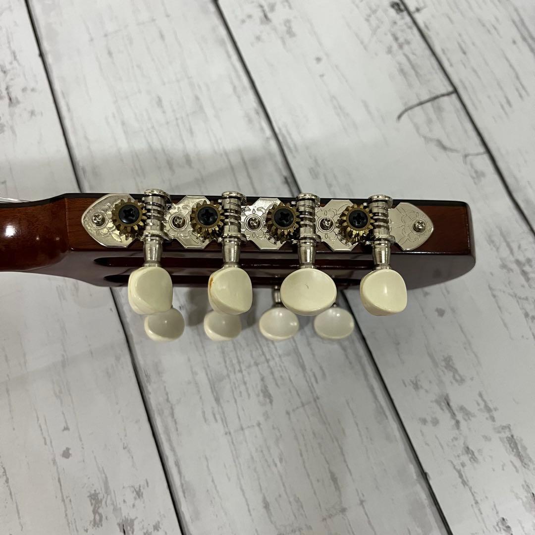 SUZUKI M-30 マンドリン 本体 ハードケース 弦 ピック付き！