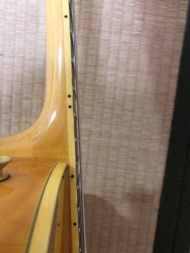 epiphone joe pass emperor韓国製