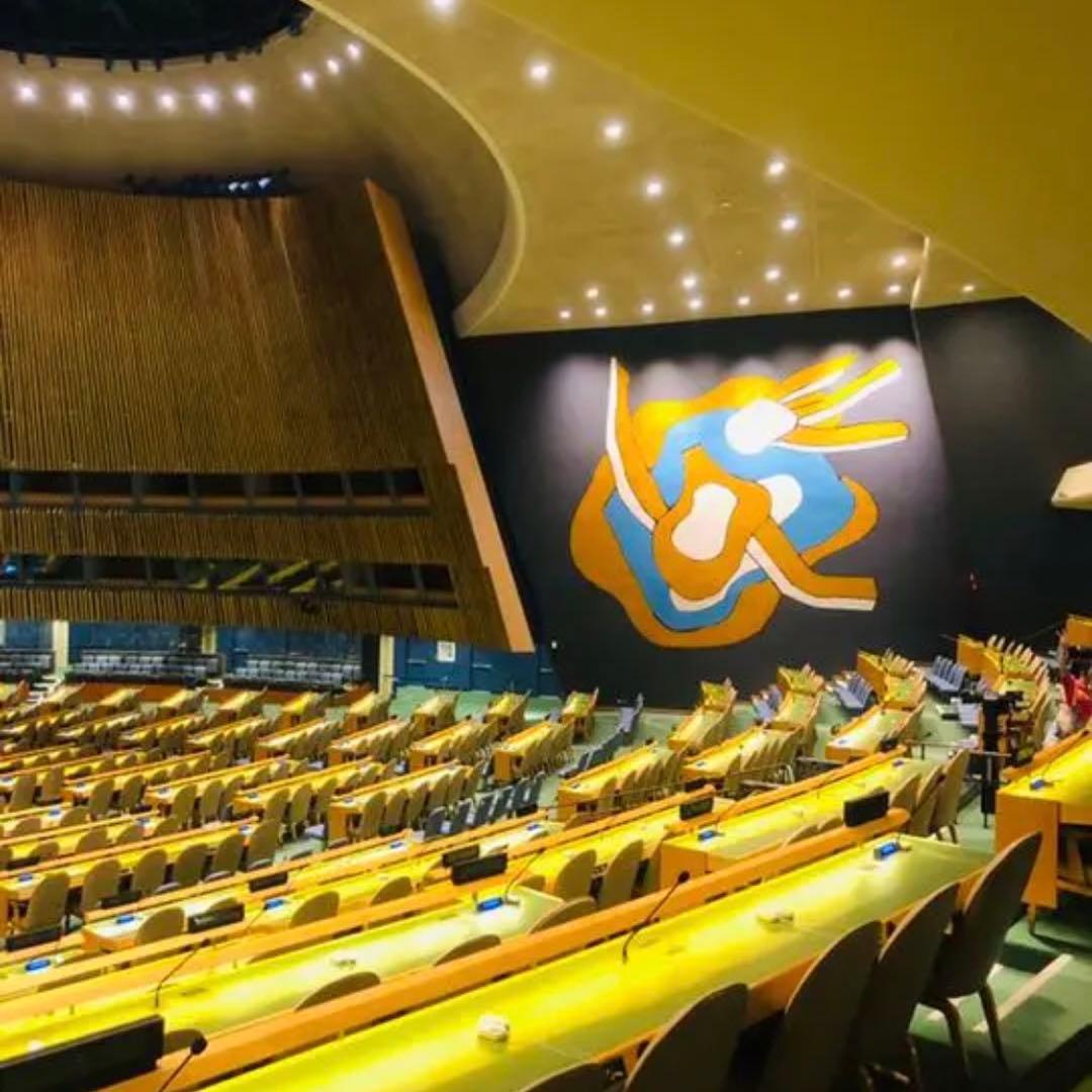 【国連本部純正品】10点　SDGs  ピンバッジ　【新品未使用】