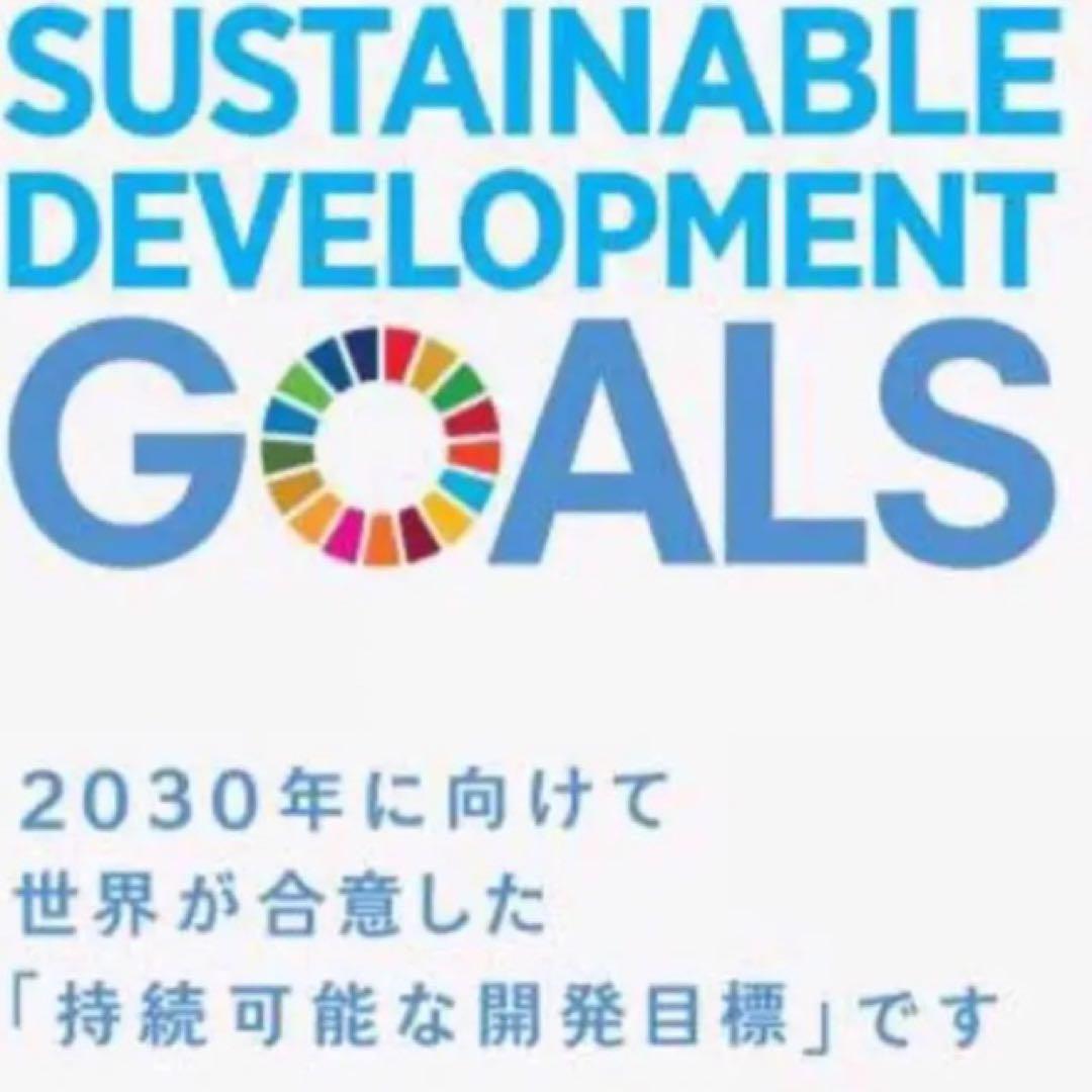 【国連本部純正品】10点　SDGs  ピンバッジ　【新品未使用】