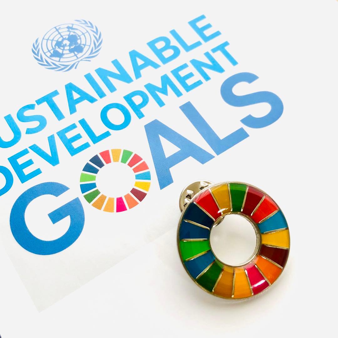 【国連本部純正品】10点　SDGs  ピンバッジ　【新品未使用】