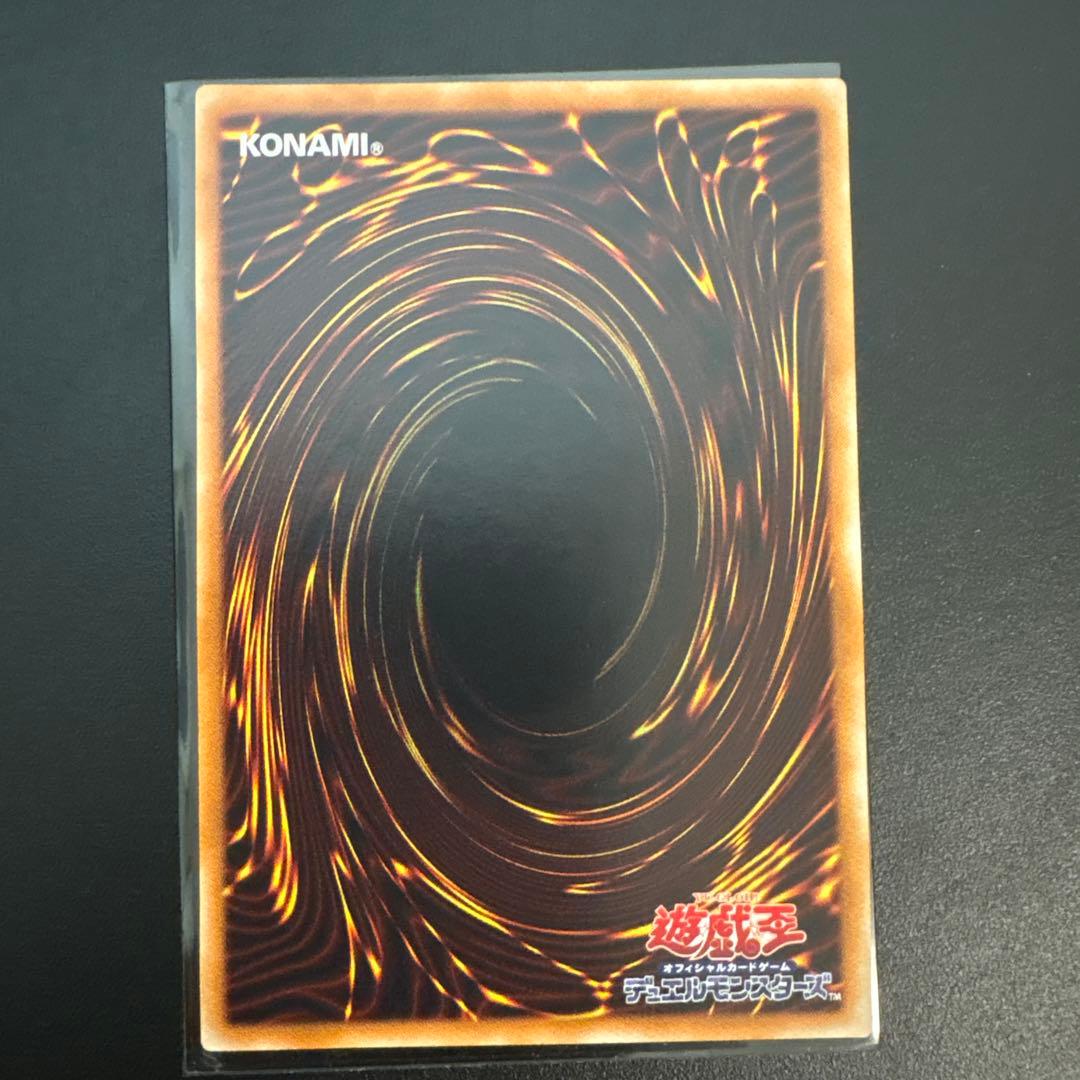 【遊戯王】超魔導剣士－ブラック・パラディン レリーフ