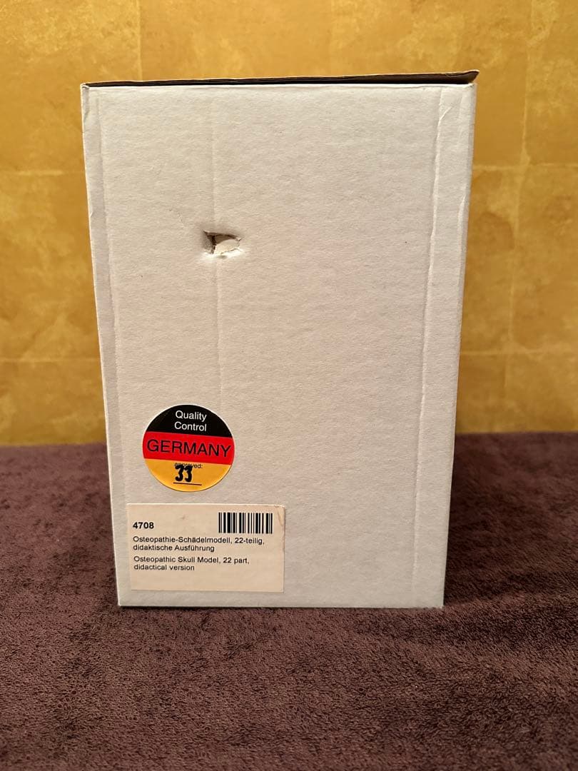 ■ドイツ3B社製頭蓋骨22分解キッ ト表示>マルチカラー　◾️新品未使用品