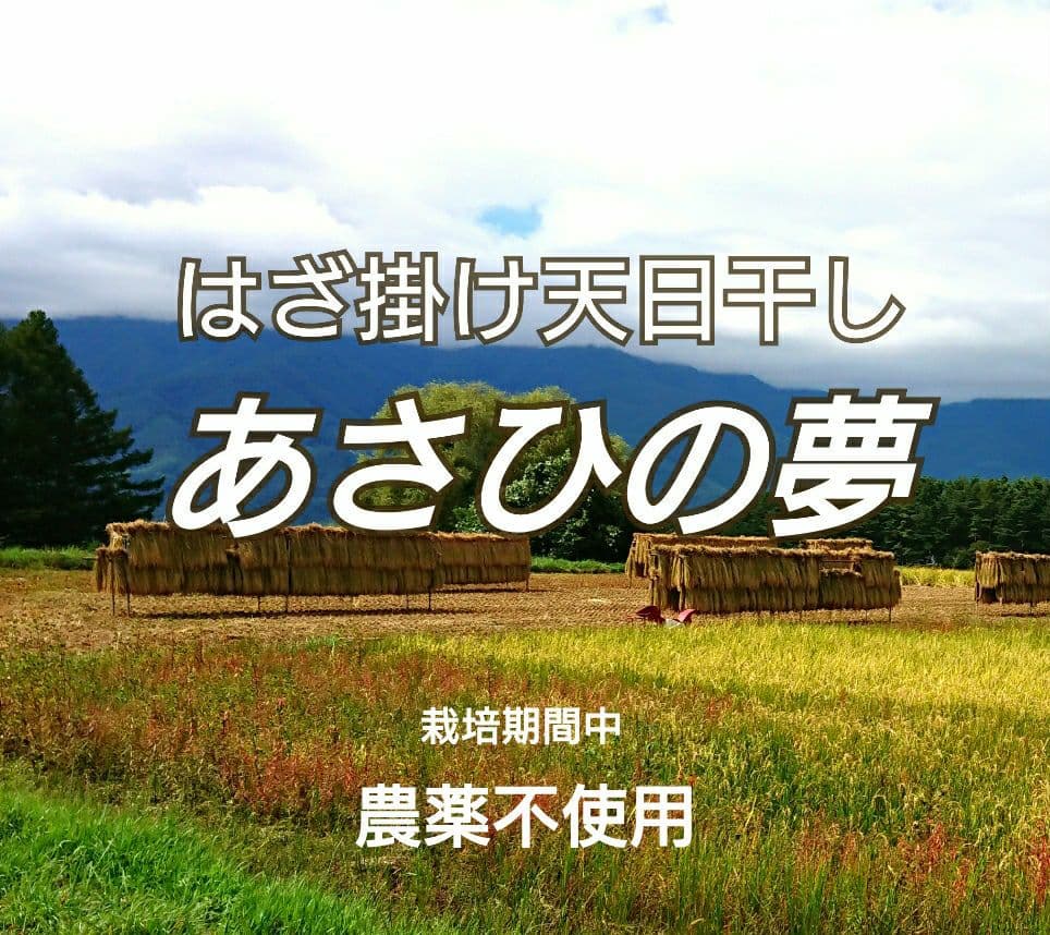 農家直送　長野県産　R7年産米　農薬不使用　はぜ掛け天日干しあさひの夢　10kg