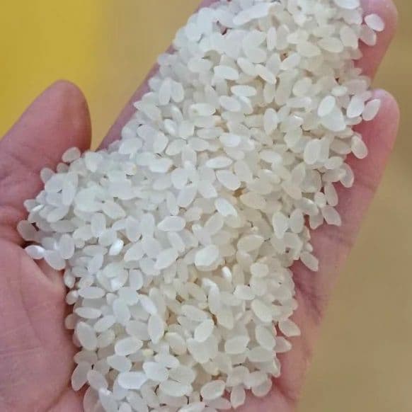 農家直送　長野県産　R7年産米　農薬不使用　はぜ掛け天日干しあさひの夢　10kg