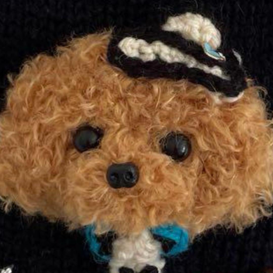 うちの子セーター