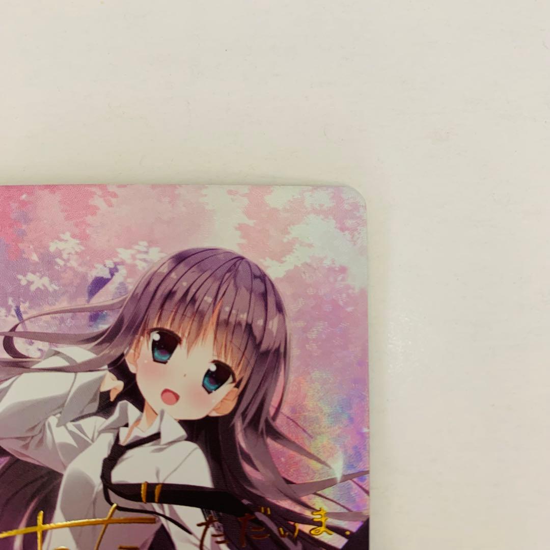 【極美品】ヴァイスシュヴァルツロゼ　その手に引かれて 夏目藍　SSP 枕