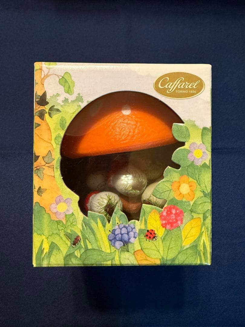 《お値下げ》Caffarel チョコレートセット　プレゼント付き