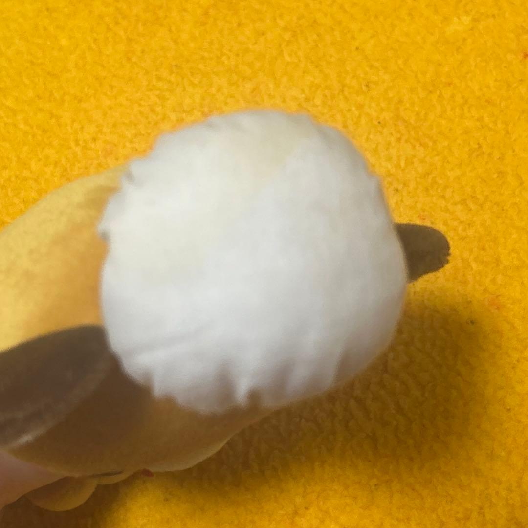 サンリオ てのりくま ぬいぐるみ メモ帳 レア