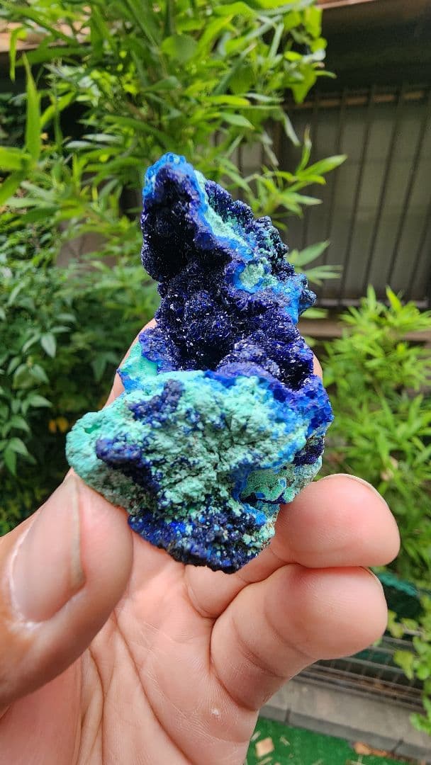 アズライトとマラカイトの共生(銅鉱石）ミルピラス鉱山（メキシコ）