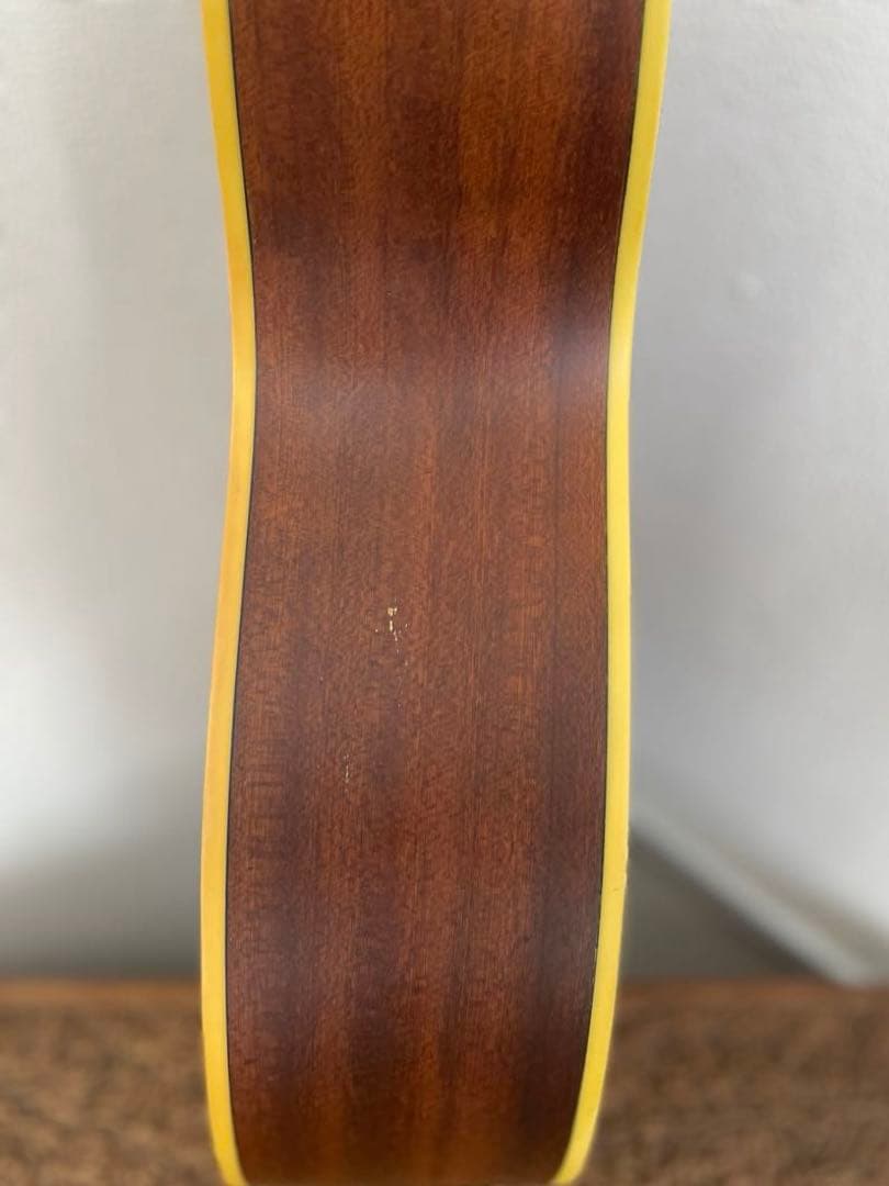 【E】Ibanez Art Wood RLGツリーオブライフインレイ ケース付き