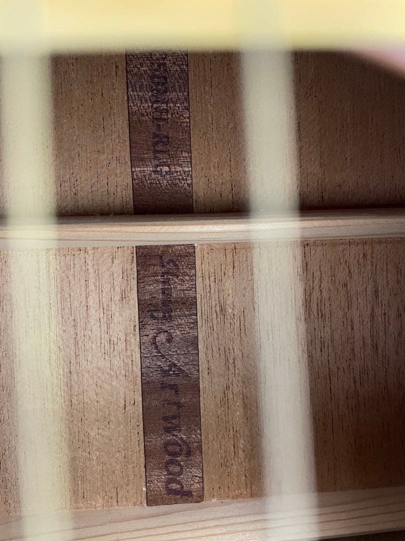 【E】Ibanez Art Wood RLGツリーオブライフインレイ ケース付き