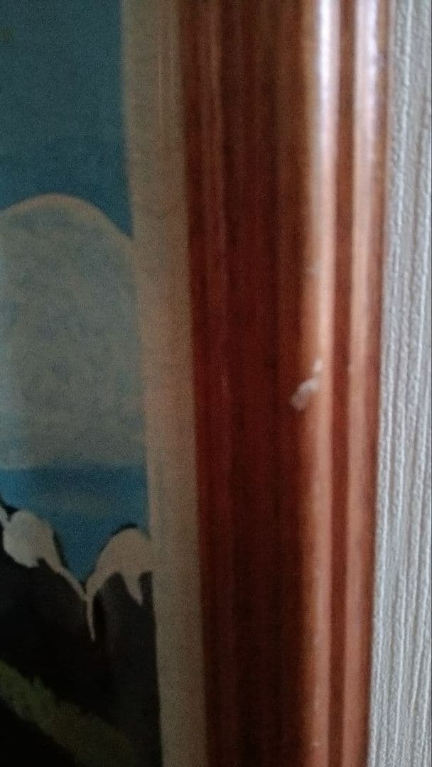 パプアニューギニア　極楽鳥とコーヒーの木　現地作家絵画