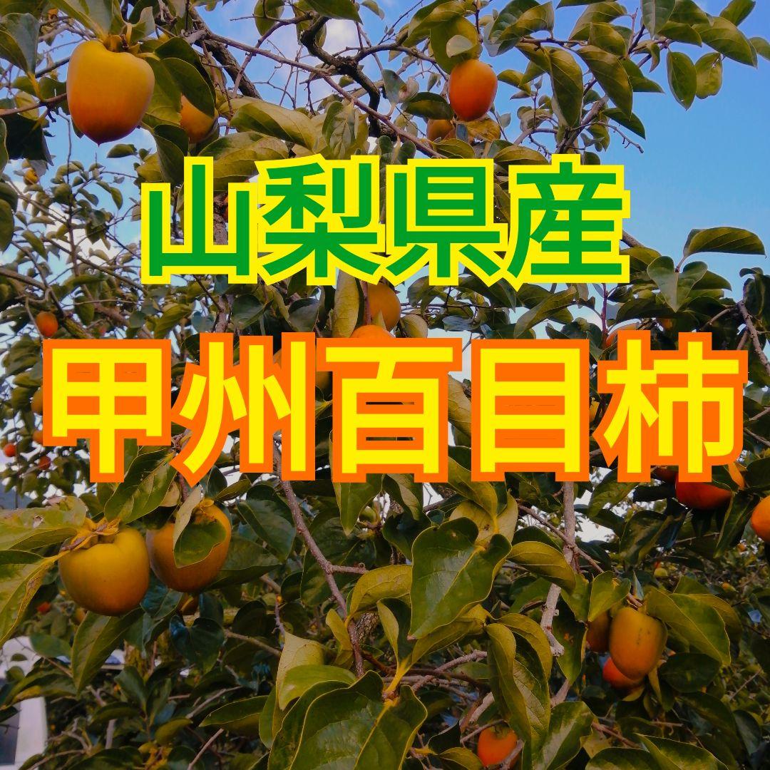 山梨県産　枯露柿・干し柿用　渋柿　甲州百目柿　20kg