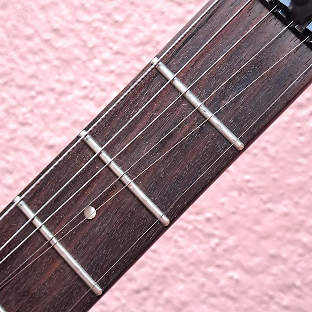 ■ESP the Mirage ミラージュ Floyed Rose Duncan