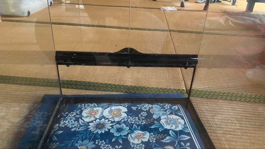 ガラス製 爬虫類 両生類 飼育ケージ エキゾテラ 4545