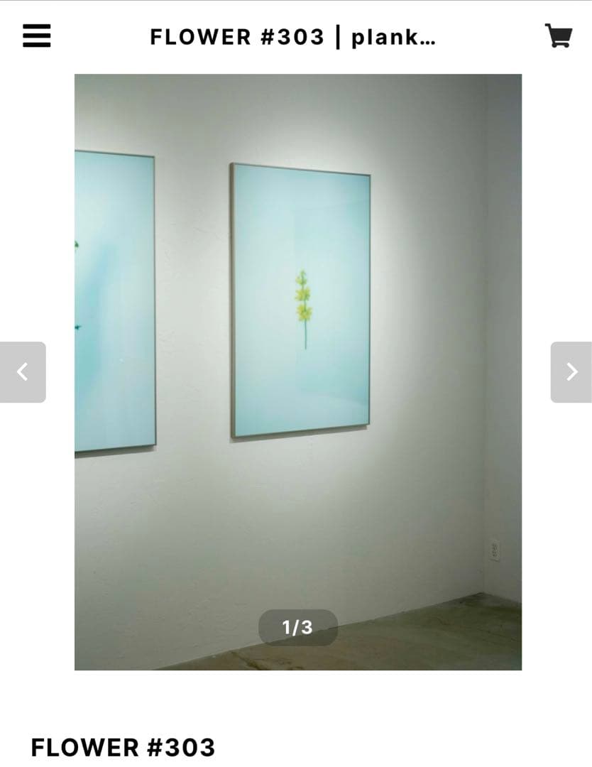 野口恵太　FLOWER