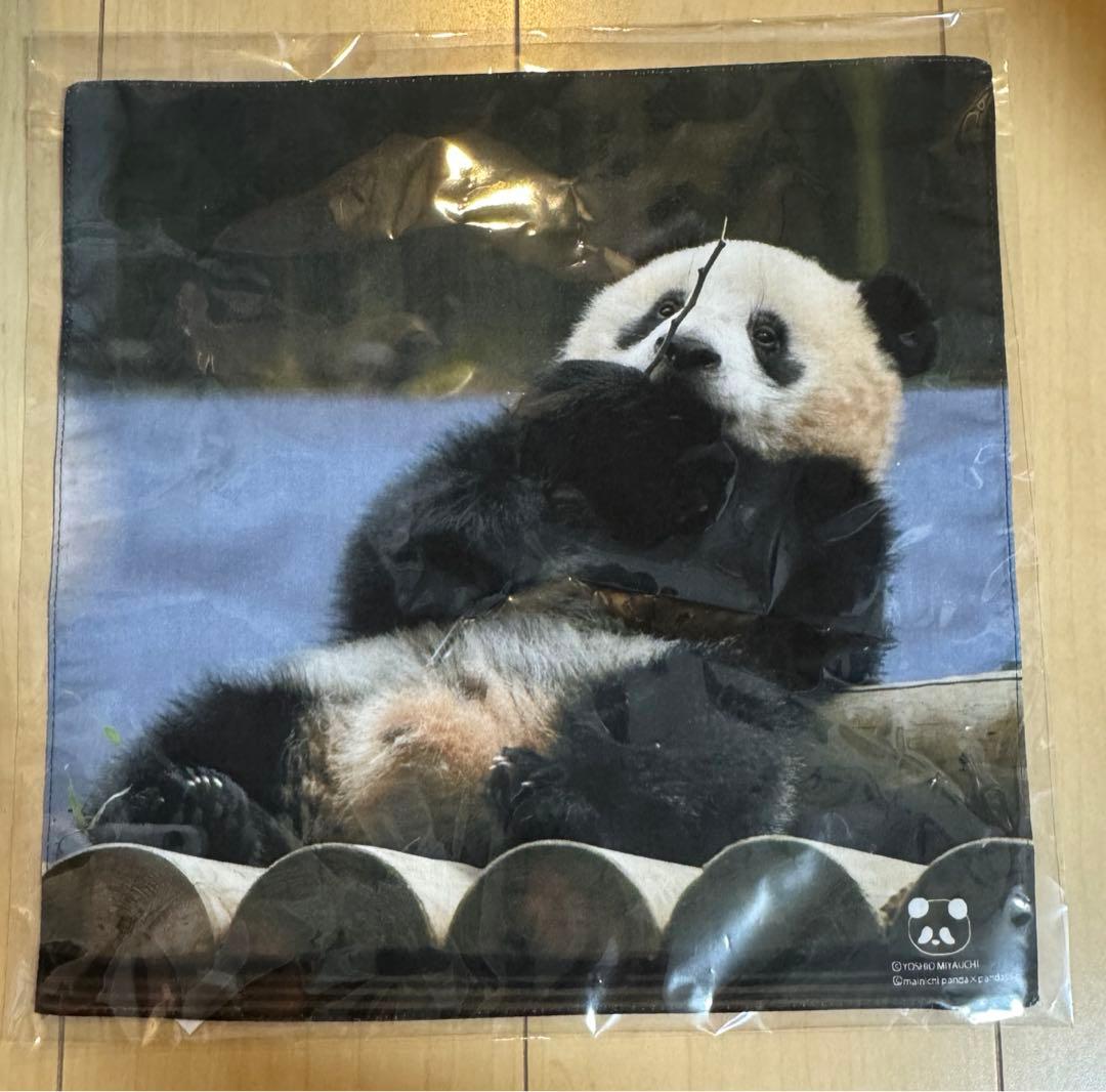 春節祭 上野 パンダのおなまえキーホルダー リーリー シンシン シャンシャン