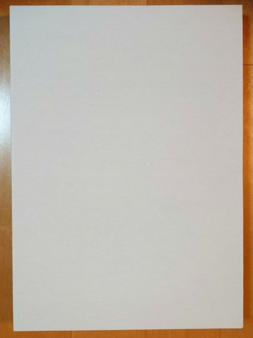 初音ミク スノープリンセス TypeB B4パブミラー / 白雪とわ 新品