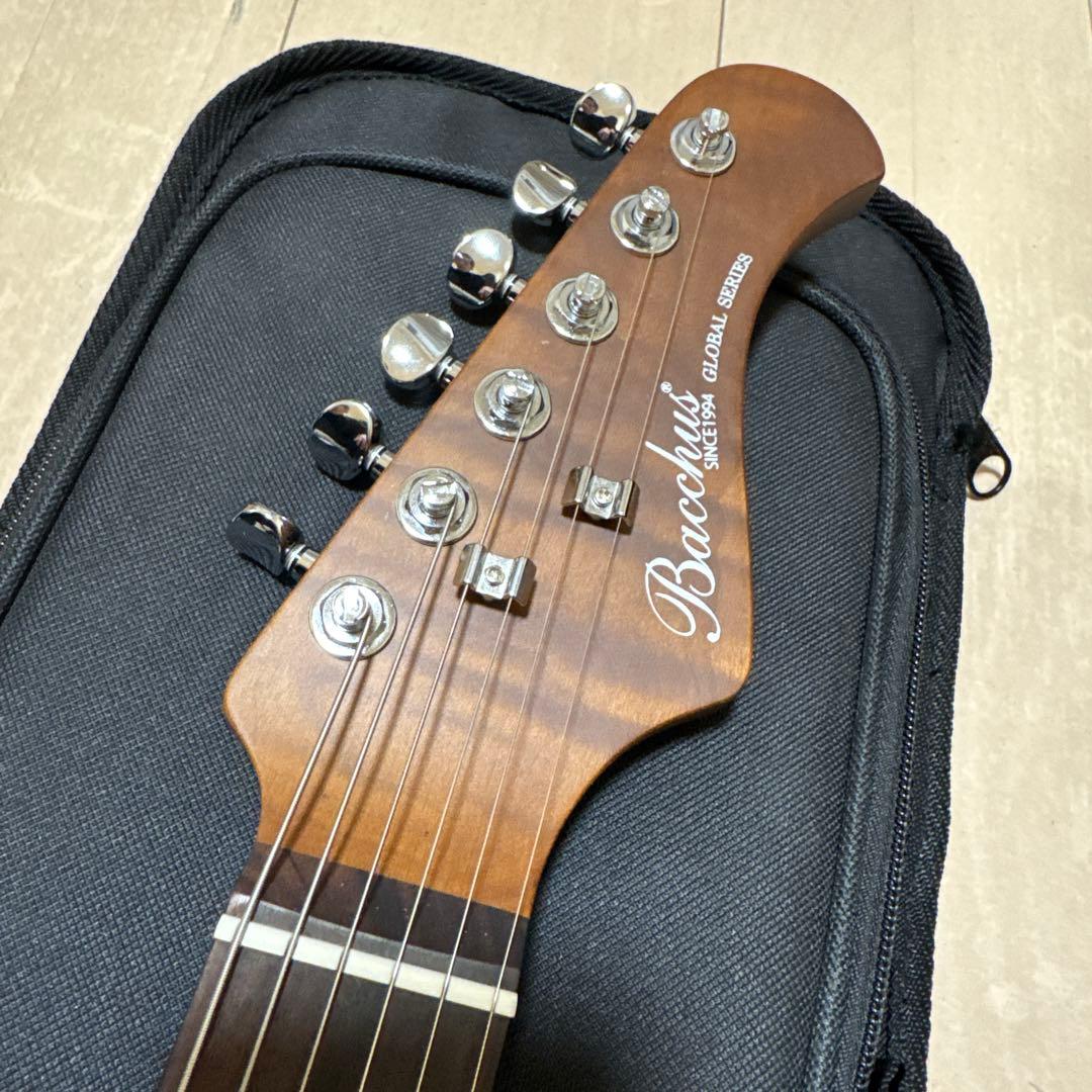 Bacchus テレキャスター 改造 Rio Grande搭載 時雨TK系