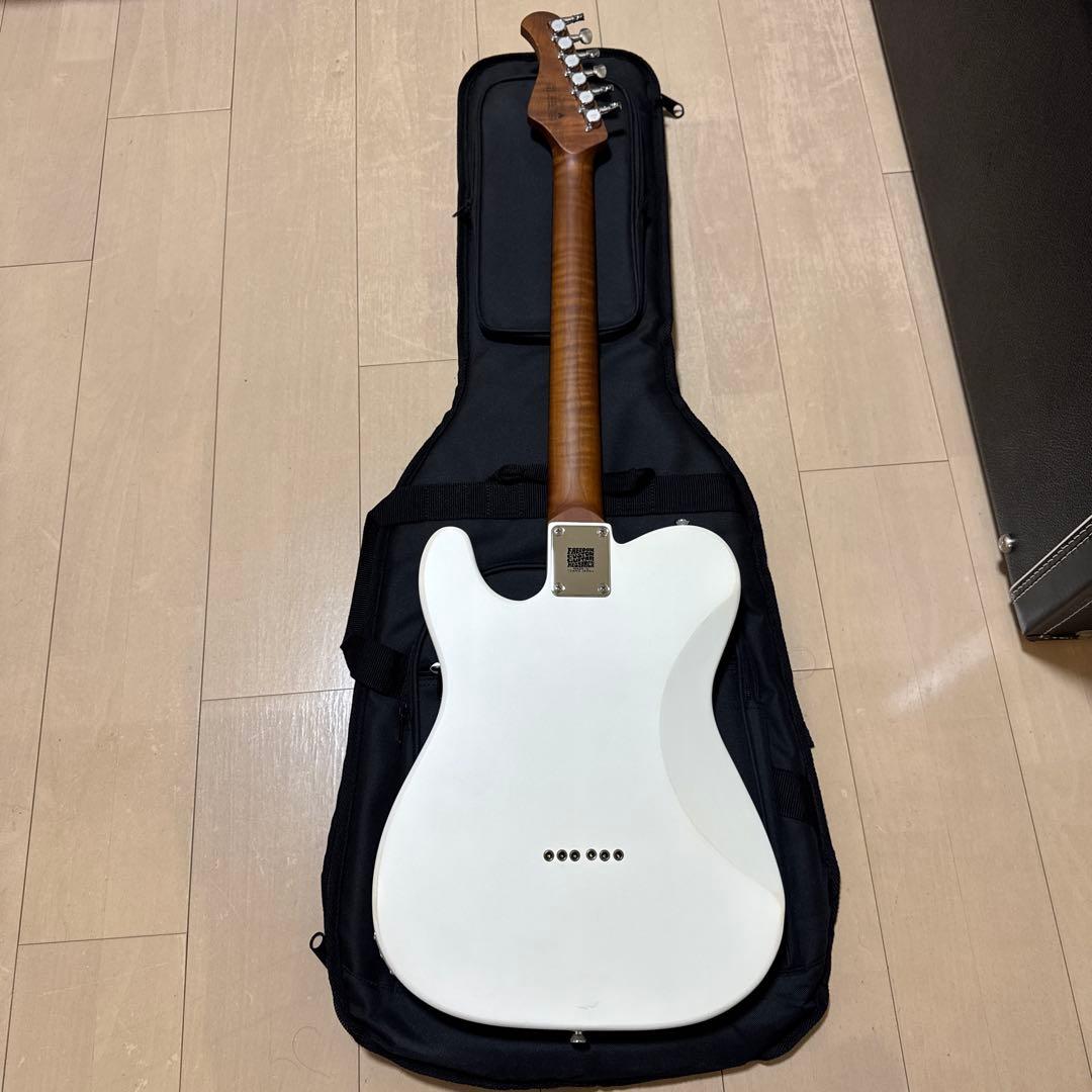 Bacchus テレキャスター 改造 Rio Grande搭載 時雨TK系