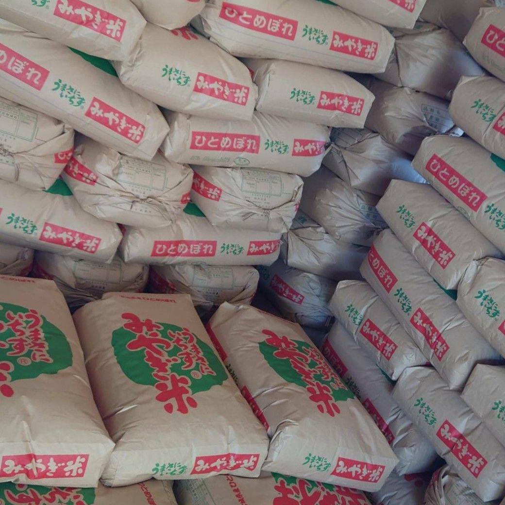 みやぎ米【玄米30kg】令和7年宮城県産ひとめぼれ