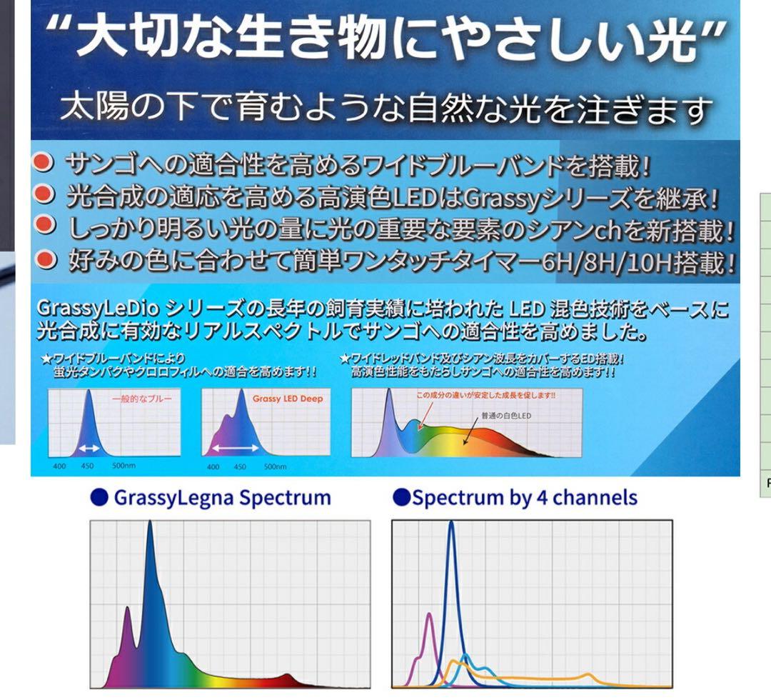ボルクスジャパン　Ｇｒａｓｓｙ　Ｌｅｇｎａ　Ｍａｒｉｎｅ　６０　タイマー付き