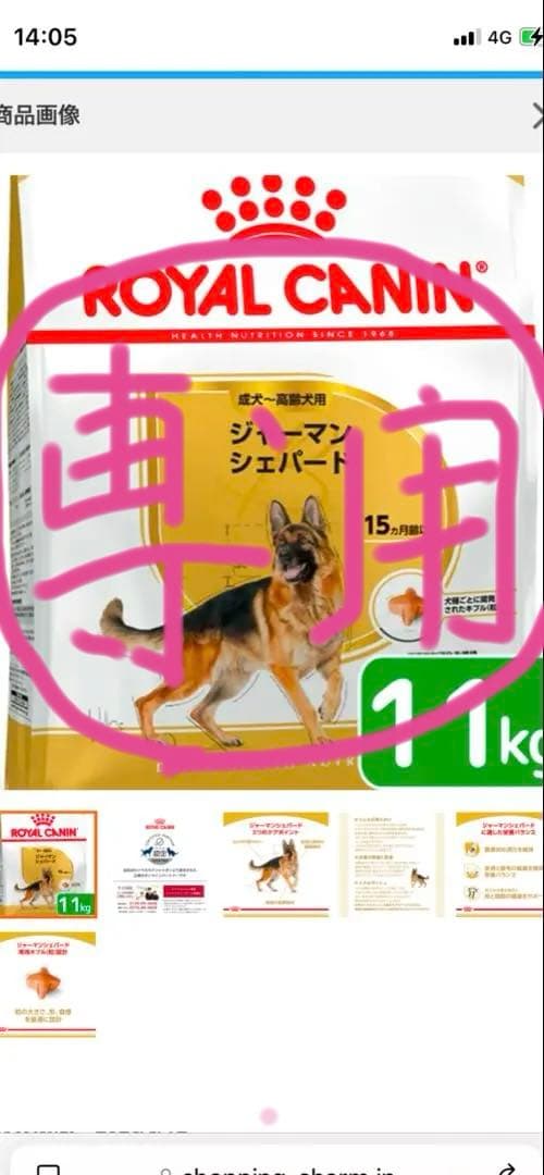  CANIN ジャーマンシェパード 11kg