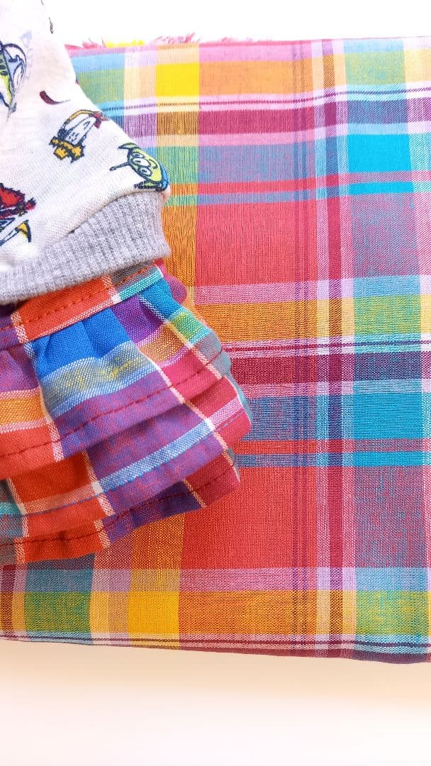 犬のスカートのみ　500円