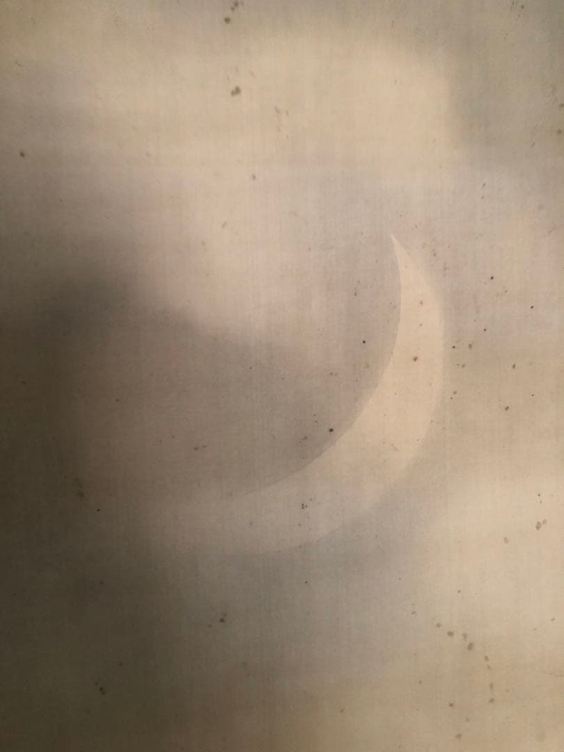 大橋翠谷「月に虎」絹本掛軸 186×54cm 江戸後期 値引き交渉可