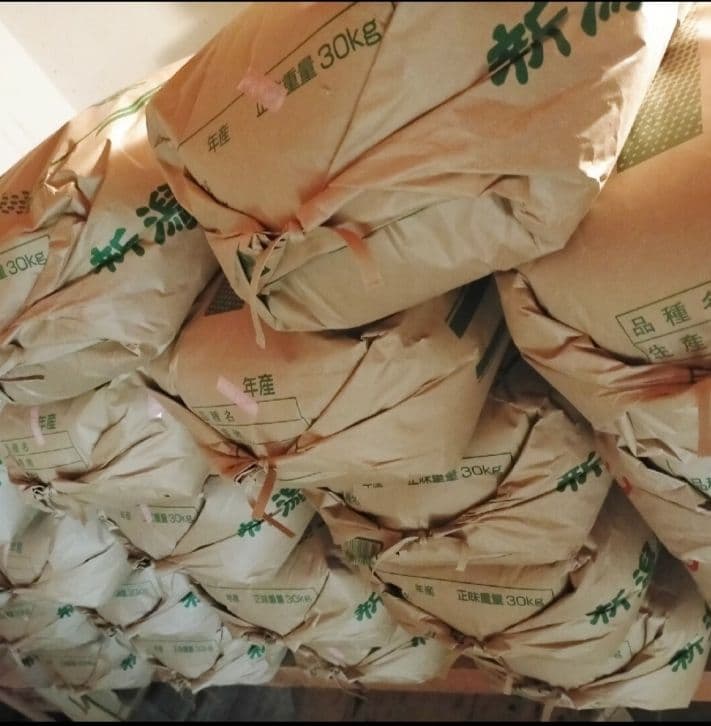 令和7年新潟県産コシヒカリ10㌔