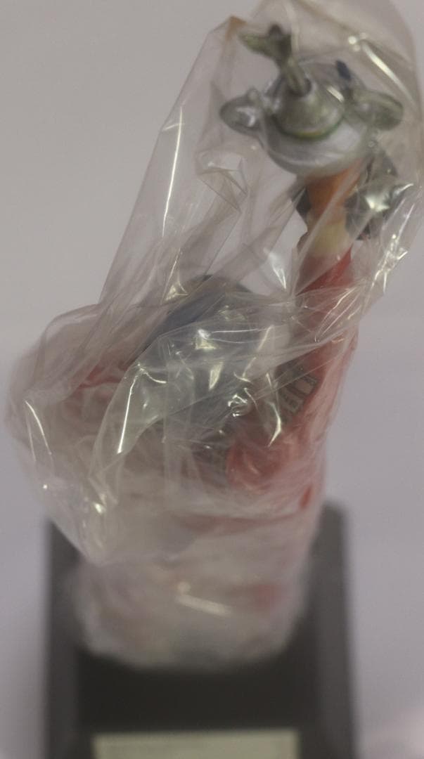 超貴重アイルトン セナ 1991年ブラジルGP優勝記念フィギュア 限定品