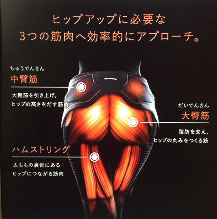 未使用 SIXPAD ボトムベルト M